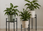 Plant Stand & Greenery