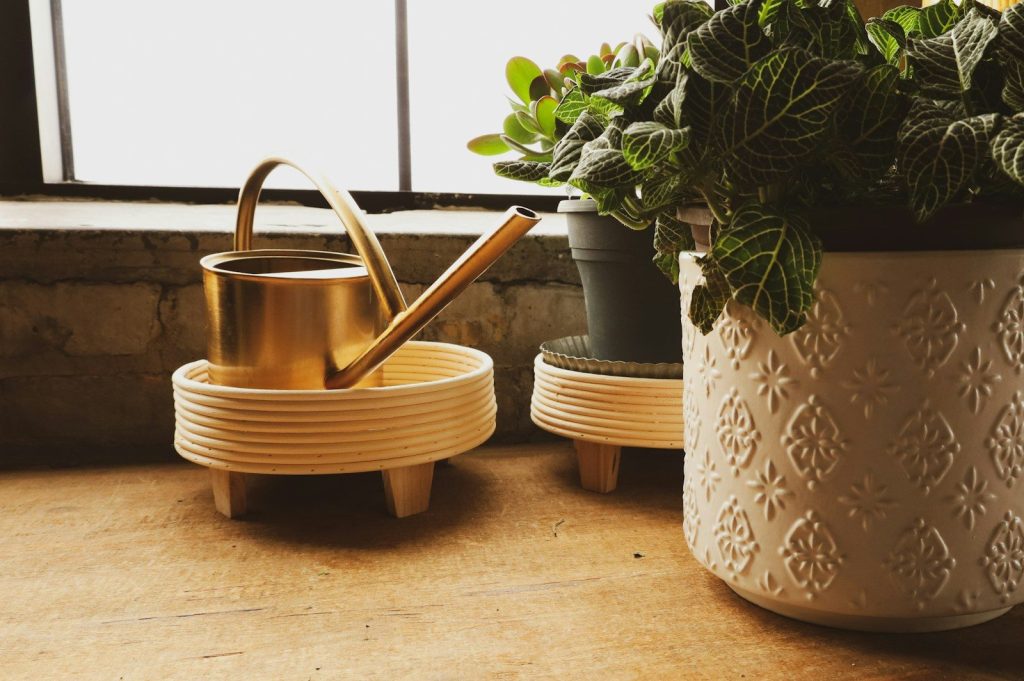 a potted plant and a watering can on a table